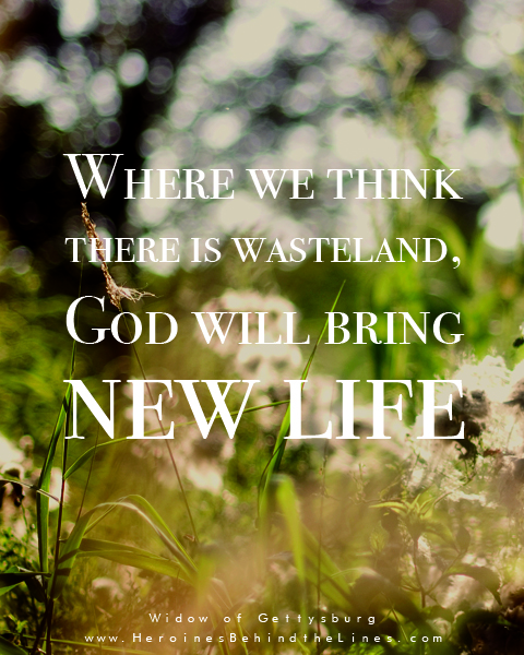 NewLife2