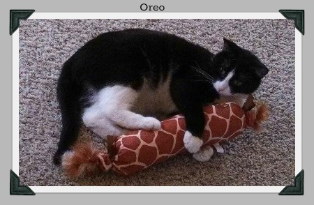 Oreo