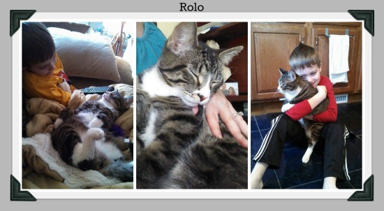 Rolo